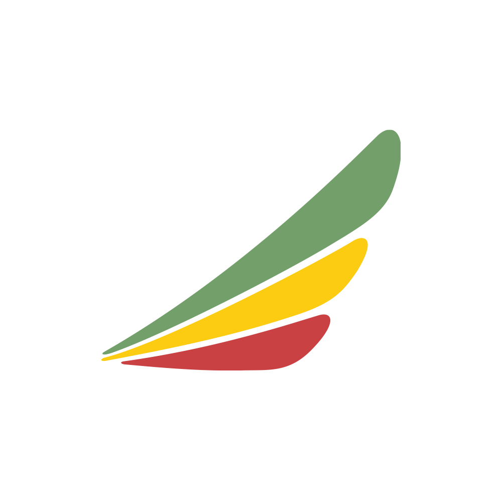 Ethiopian Airlines