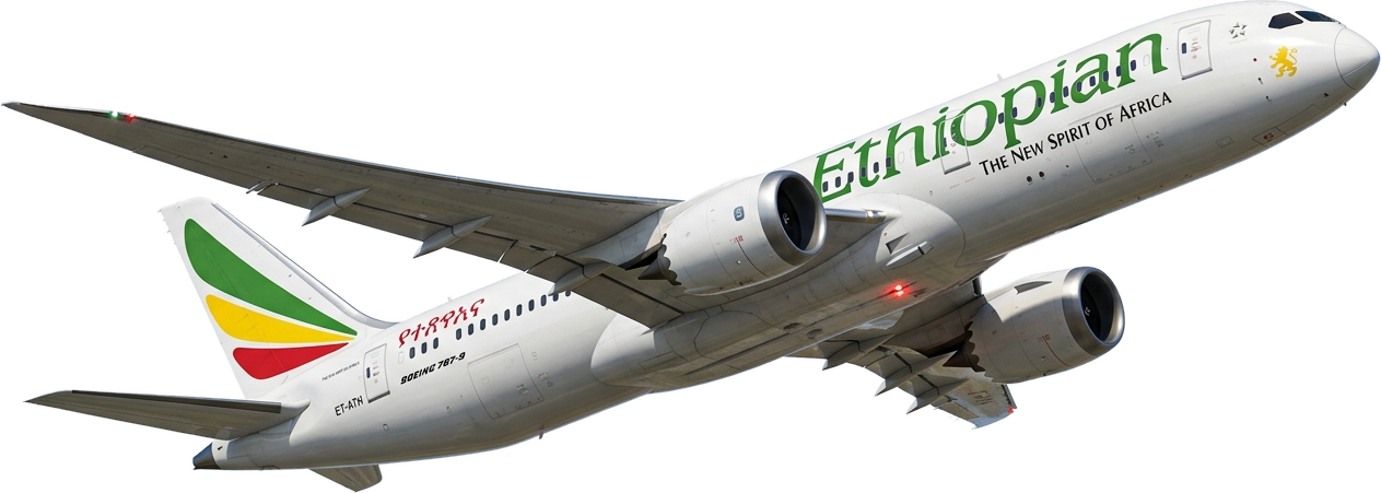 Ethiopian Airlines Boeing 787 Dreamliner 3D