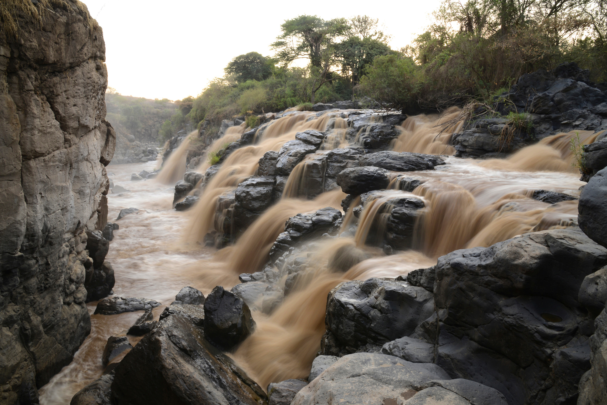 Lower Valley of the Awash