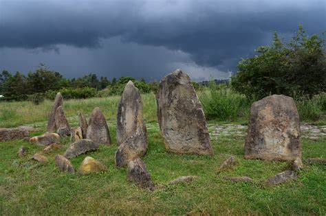 Tiya Stelae Field