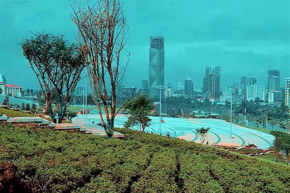 Friendship Park