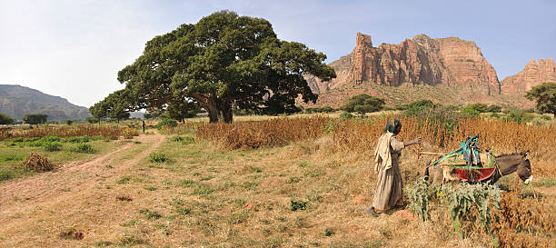 3-Day Tigray Churches & Gheralta Trekking Tour — photo 16