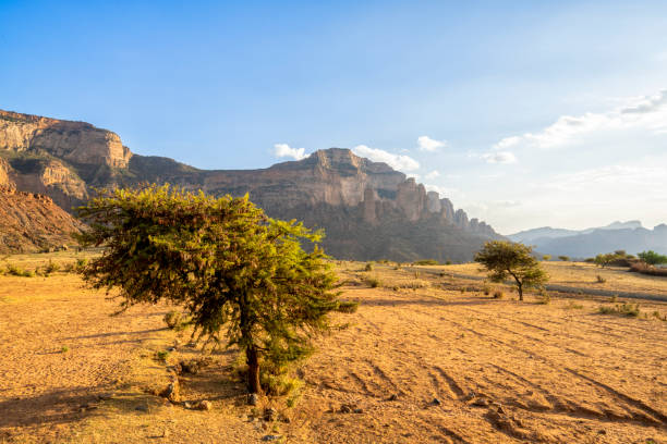 3-Day Tigray Churches & Gheralta Trekking Tour — photo 9