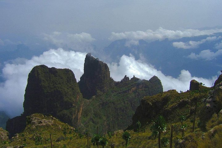 3 Days Bale Mountains Trekking — photo 7