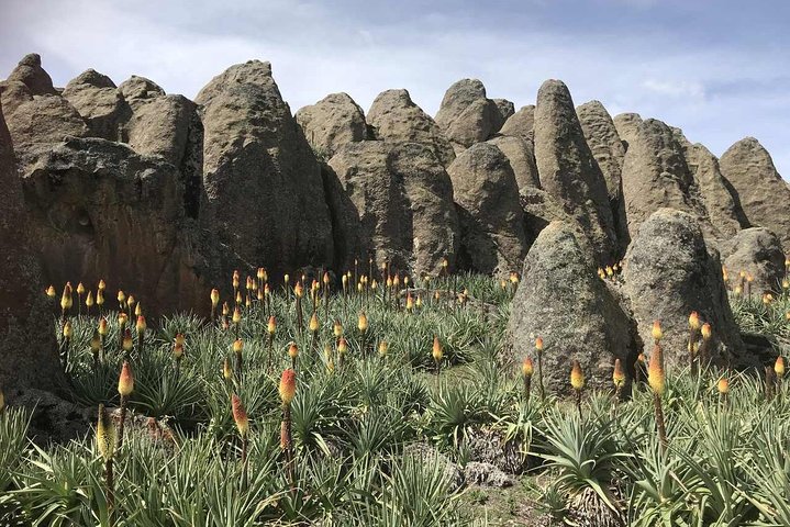 3 Days Bale Mountains Trekking — photo 2