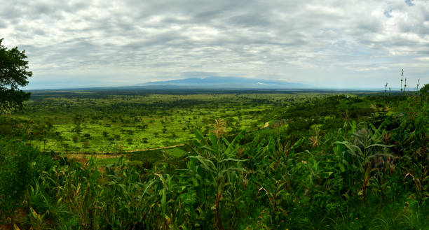 The Omo National Park