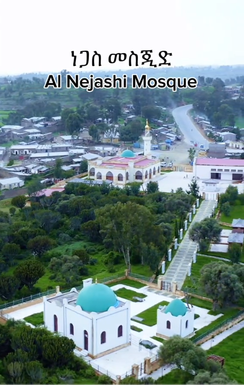 Al Nejash