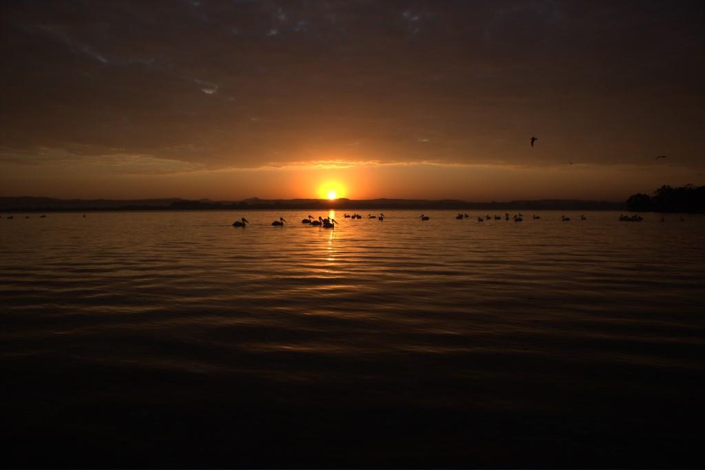 Lake Tana