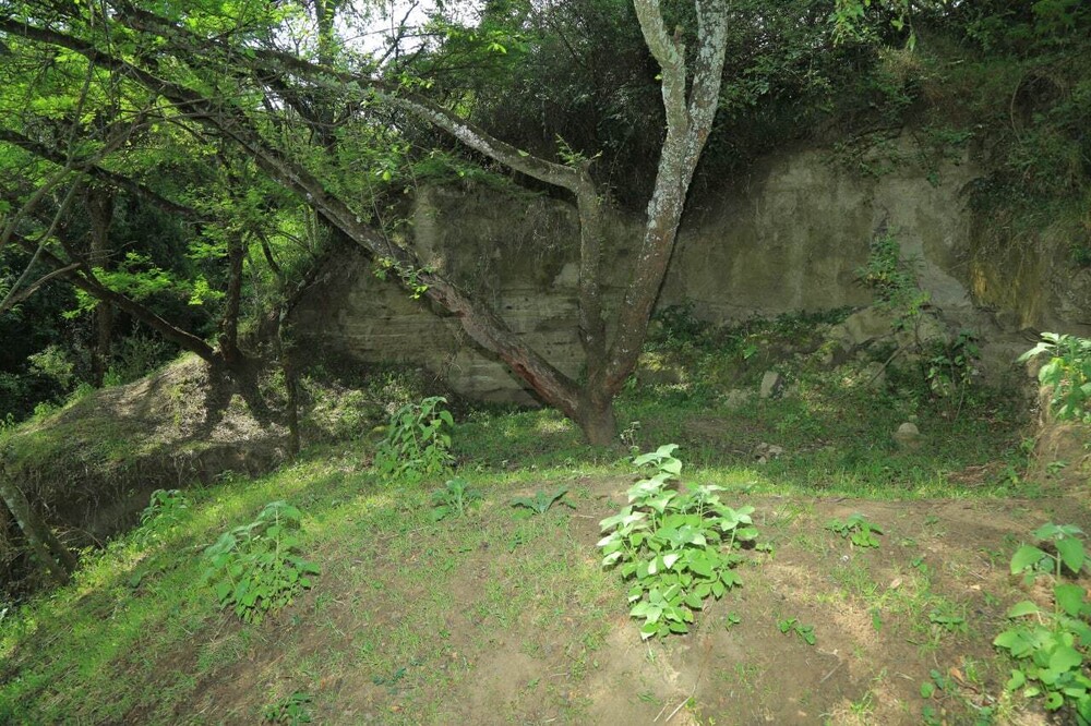 Melka Kunture and Balchit